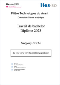 FINAL_Rapport bachelor Gregory_.pdf